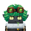 Danoru