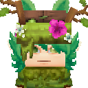 cae
